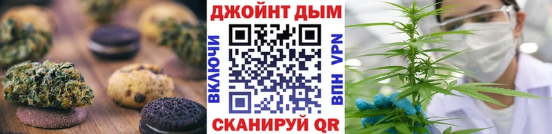 Cannafood конопля  купить наркоту  Светлый 